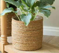 rattan plant basket_1.jpg