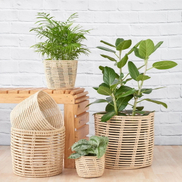 Put Plant in Wicker Basket_1.jpg