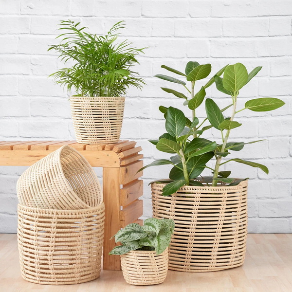 Put Plant in Wicker Basket_1