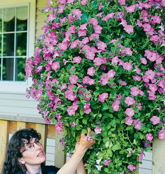 Hanging Basket_3
