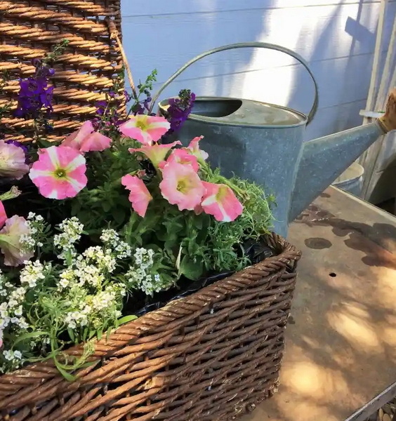 Use A Wicker Basket As A Planter_2
