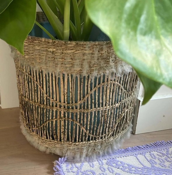 How To Remove Mold From Wicker Baskets?