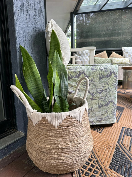 seagrass basket plant_1
