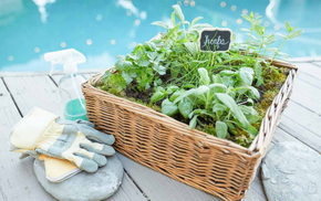 How To Plant Herbs in A Wicker Basket.jpg