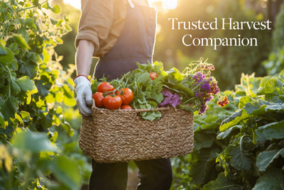 Gardener With Handcrafted Trug.jpg